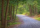 Ken Reid Conservation Area_01441